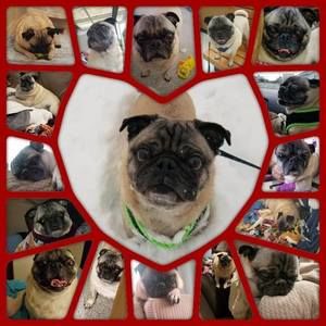 Meet your Posher, Nichole